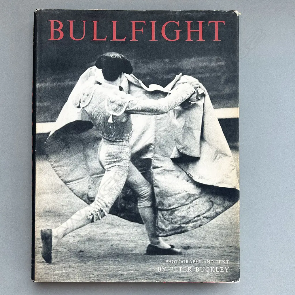 PETER BUCKLEY: BULLFIGHT Image 1++